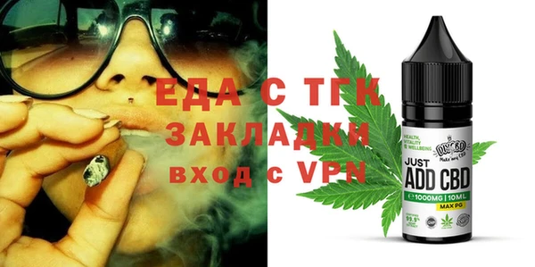 индика Бронницы