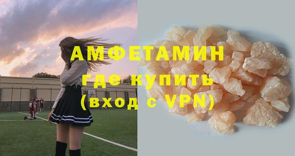 индика Бронницы