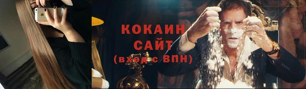 индика Бронницы