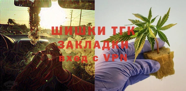 индика Бронницы