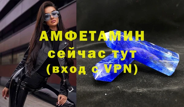 индика Бронницы