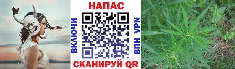 Каннабис Ganja  Гай 